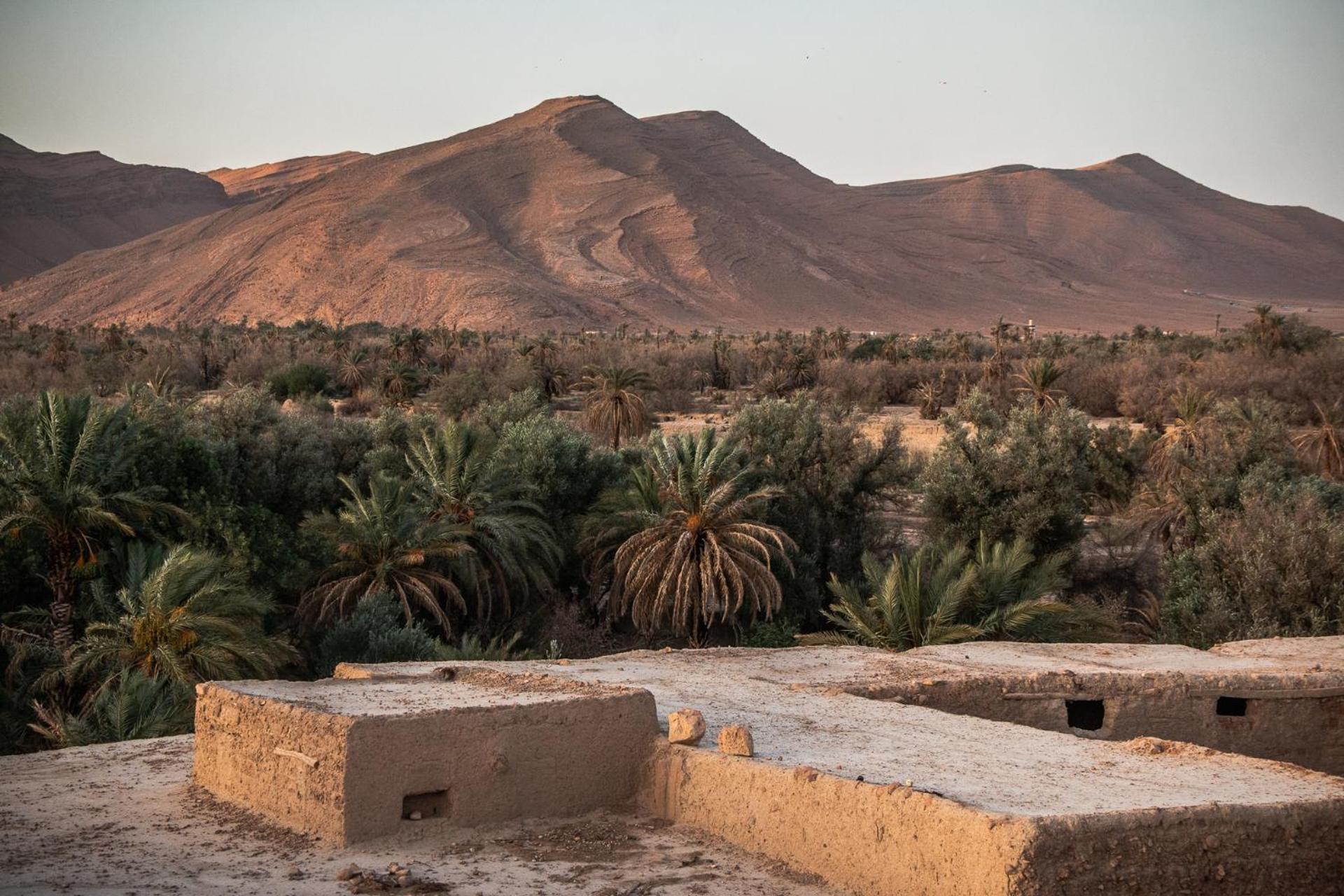 Oasis Travel Bed and Breakfast Tazouka Εξωτερικό φωτογραφία