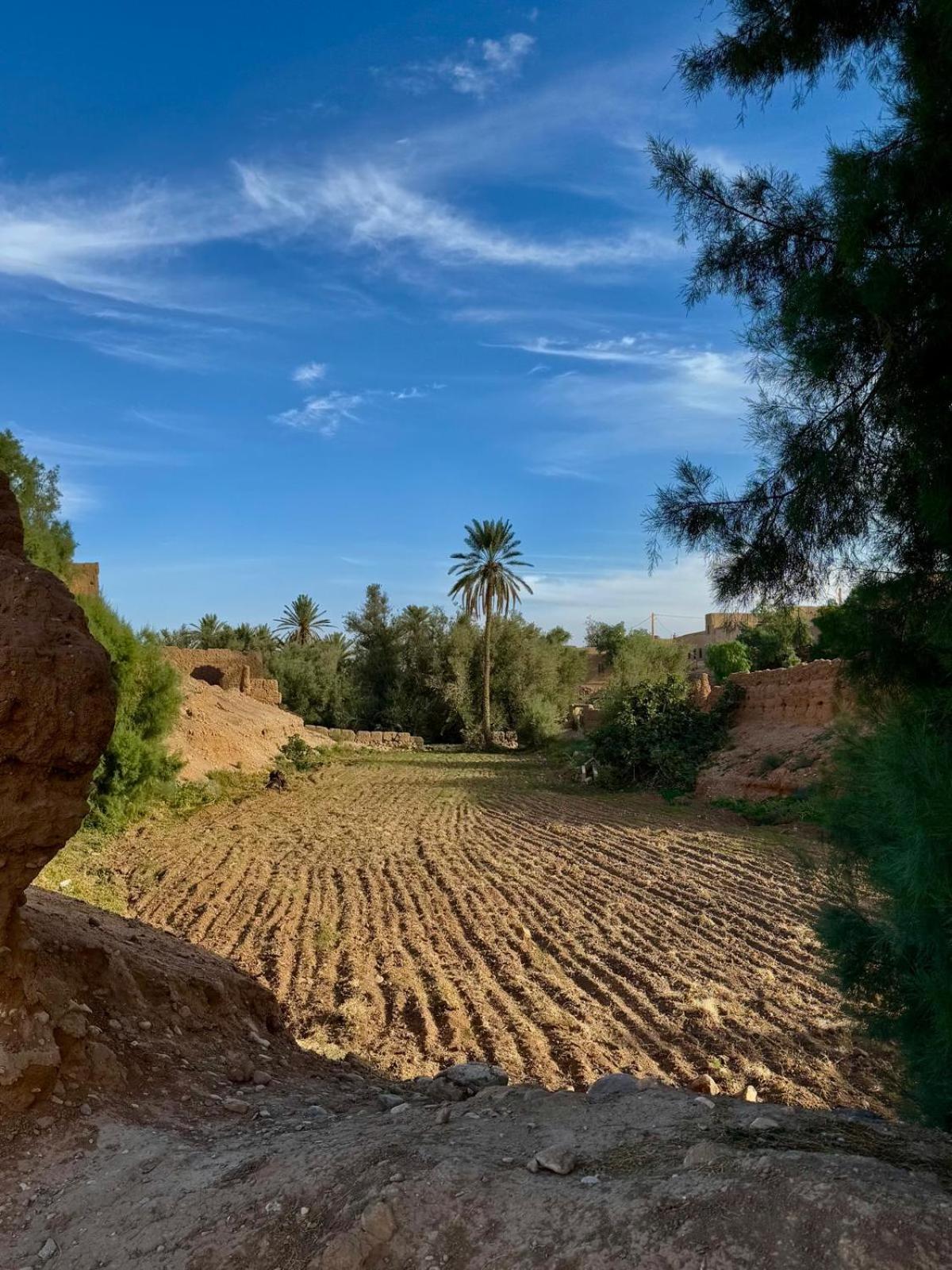 Oasis Travel Bed and Breakfast Tazouka Εξωτερικό φωτογραφία